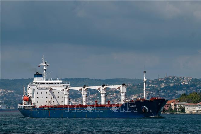 Tàu chở ngũ cốc di chuyển dọc Eo biển Bosphorus ở Istanbul, Thổ Nhĩ Kỳ. Ảnh tư liệu: AFP/TTXVN